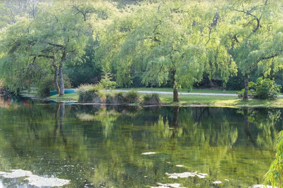 Reflections