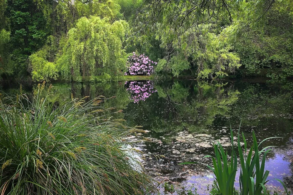 By the water