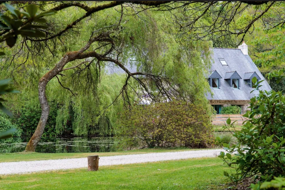 The estate