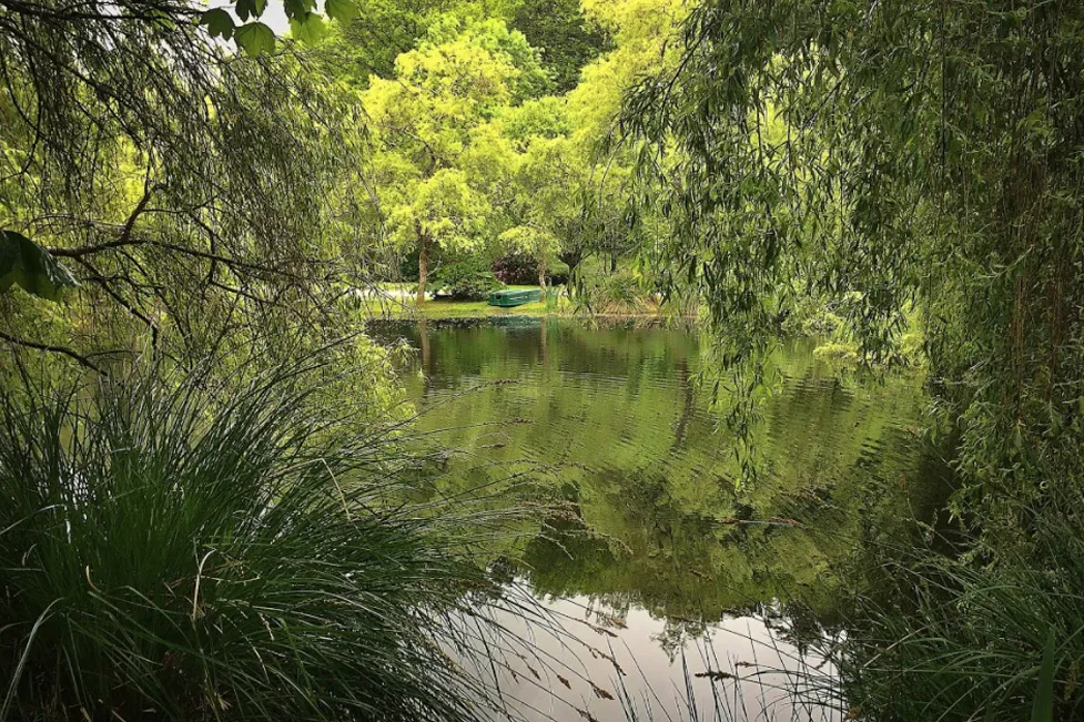 The ponds and the Breton countryside around the mill